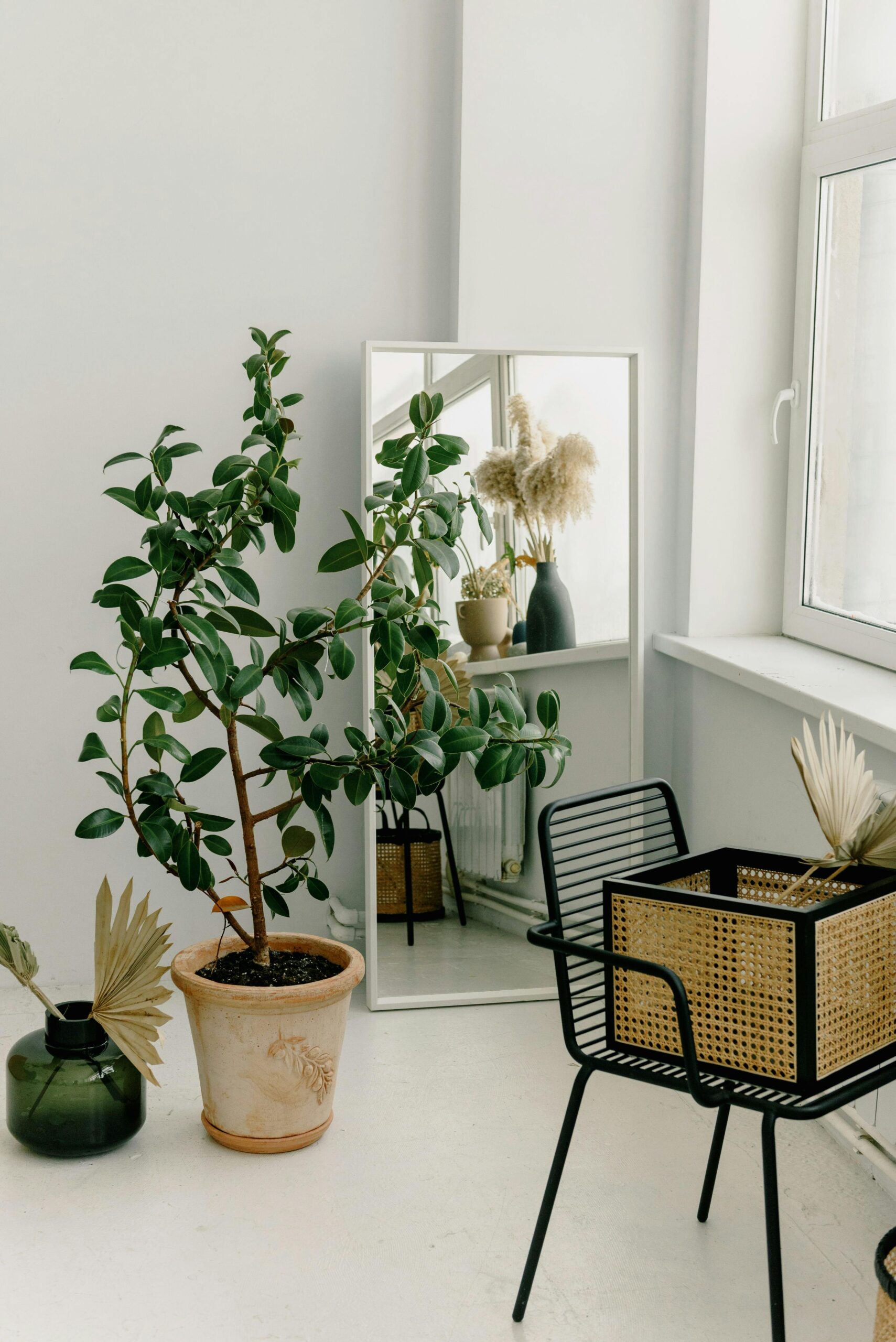 A minimalist interior design featuring a potted plant, mirror, and decorative elements in a bright room.